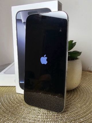 iPhone 16 Pro Max 256GB - EXCELENTE