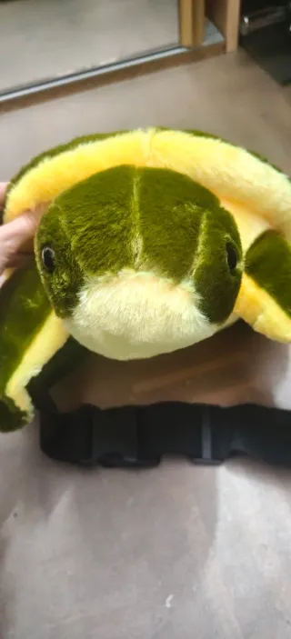 Tortuga Protección Esquí