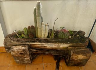 Tronco jardinera rústica madera