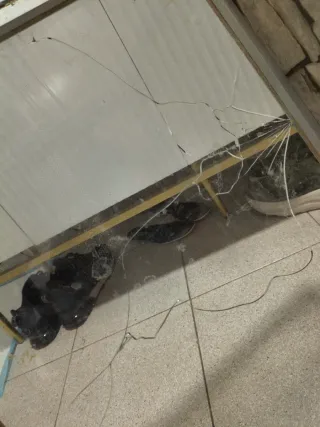 Terrario para reptiles