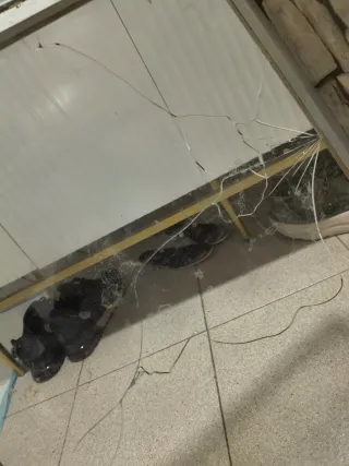 Terrario para reptiles