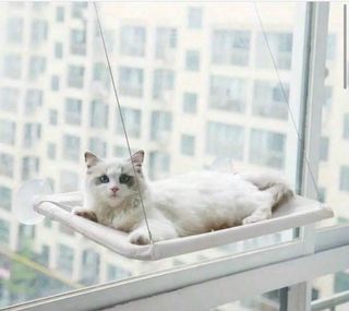 Hamaca para gato con ventosa