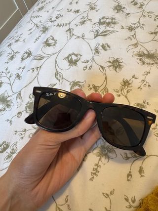 Gafas de sol Ray-Ban Marrones y Negras