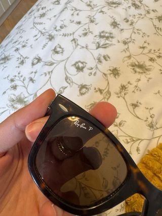 Gafas de sol Ray-Ban Marrones y Negras