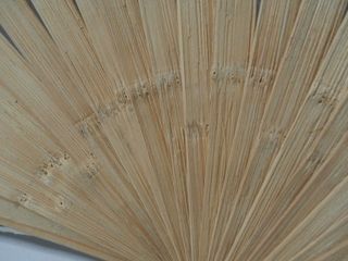 Abanico Oriental Gigante Pintado a Mano