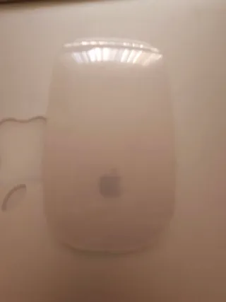 Teclado Apple A1314 + Magic Mouse Plata