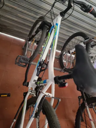 Bicicleta de montaña BIOCYCLE