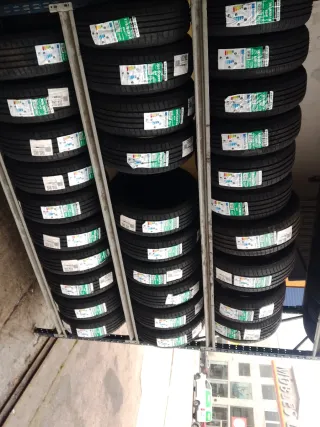 Neumáticos 205/55R16 91V Autogreen