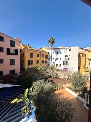 Piso en alquiler en La Seu - Cort - Monti-sión en Palma de Mallorca