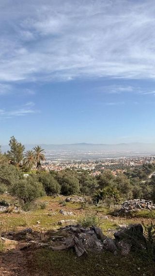 Terreno en venta en Centro en Alhaurín de la Torre