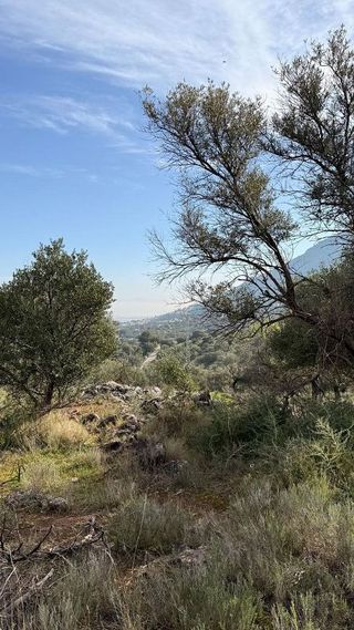 Terreno en venta en Centro en Alhaurín de la Torre