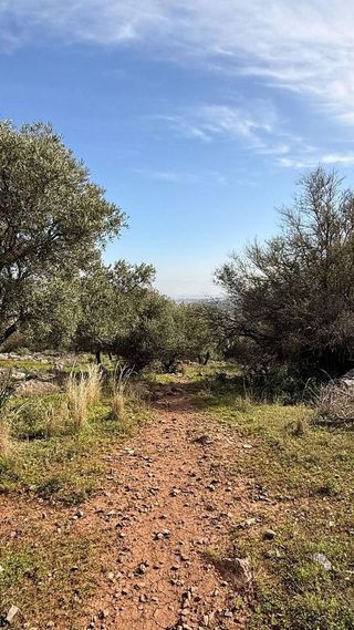 Terreno en venta en Centro en Alhaurín de la Torre