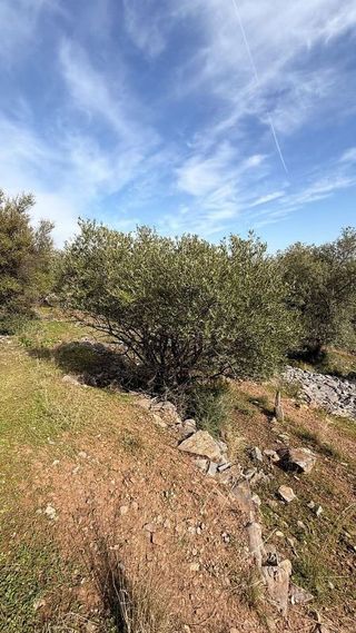 Terreno en venta en Centro en Alhaurín de la Torre
