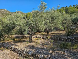 Terreno en venta en Nord en Sant Carles de la Ràpita