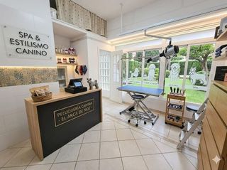 Local comercial en alquiler en Playa de San Juan en Alicante