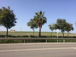 Solar en venta en Alcalá del Río