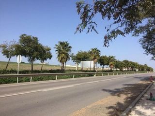 Solar en venta en Alcalá del Río