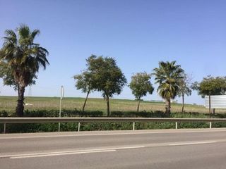 Solar en venta en Alcalá del Río