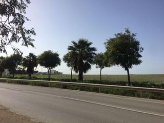 Solar en venta en Alcalá del Río