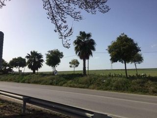 Solar en venta en Alcalá del Río