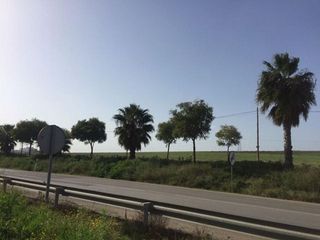 Solar en venta en Alcalá del Río