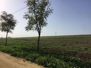 Solar en venta en Alcalá del Río