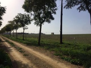 Solar en venta en Alcalá del Río