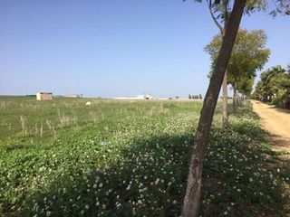 Solar en venta en Alcalá del Río