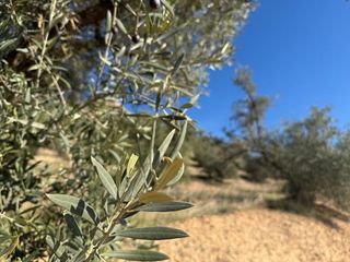 Terreno en venta en Atarfe