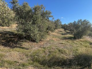 Terreno en venta en Atarfe