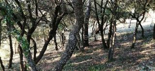 Solar en venta en Vacarisses