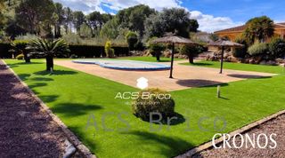 Césped Artificial 35 mm - Camelia 35