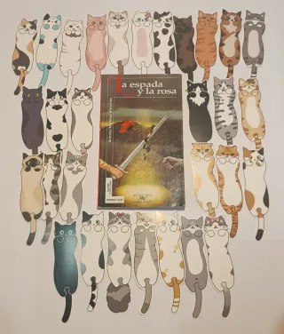 LIBRO ESPADA Y LA ROSA ANTONIO MARTÍNEZ JUVENIL