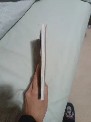 LIBRO ESPADA Y LA ROSA ANTONIO MARTÍNEZ JUVENIL