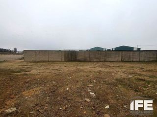 Terreno en alquiler en Alagón