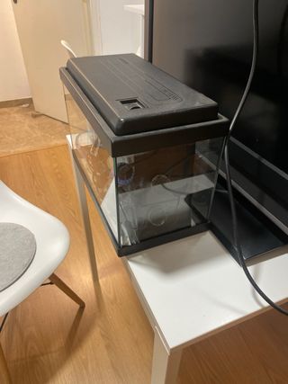 Pecera con filtro y calentador.23 litros