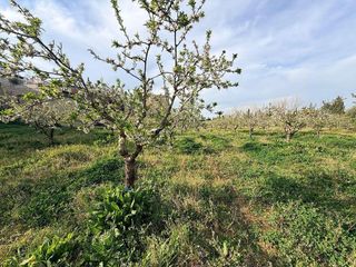 Solar en venta en Albaida