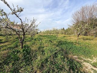 Solar en venta en Albaida