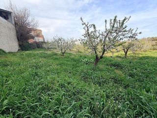 Solar en venta en Albaida