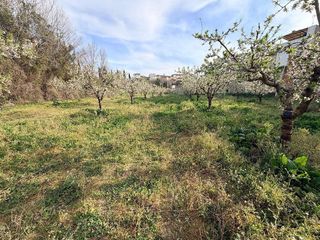 Solar en venta en Albaida