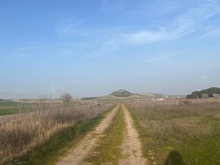Terreno en venta en Tudela de Duero