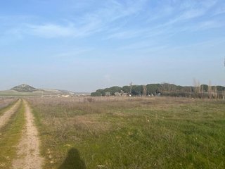 Terreno en venta en Tudela de Duero