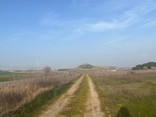 Terreno en venta en Tudela de Duero