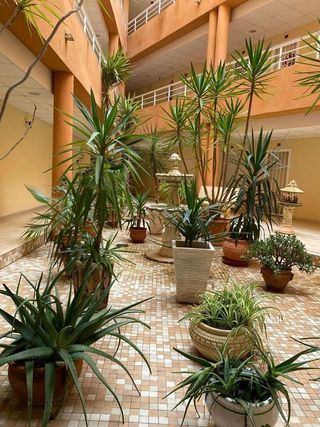 Piso en venta en San Miguel de Salinas