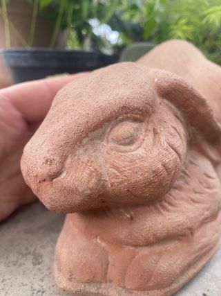 Grazioso coniglio in terracotta