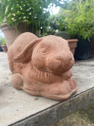 Grazioso coniglio in terracotta