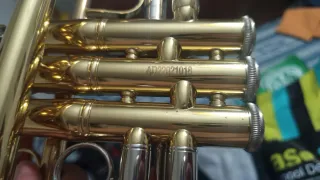 Trompeta Bach TR650 Sib Lacada