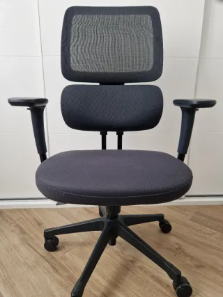 Silla ergonómica Ofiprix