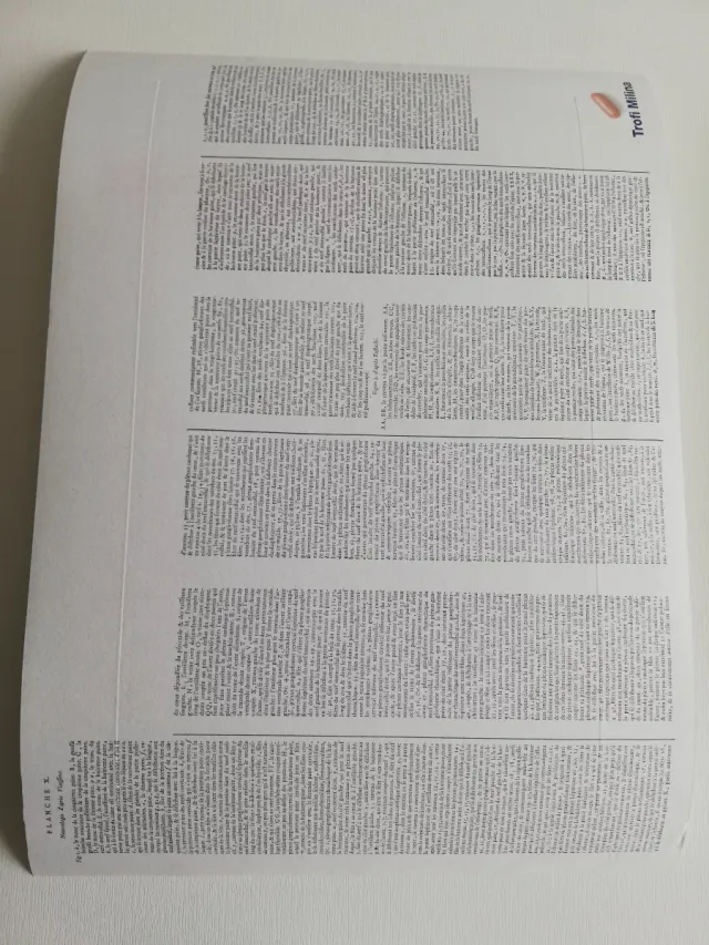 Láminas Grabado Anatómico Cerebro Diderot