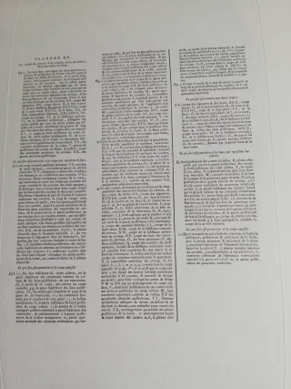 Láminas Grabado Anatómico Cerebro Diderot